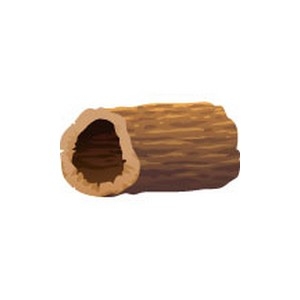 Hollow Log